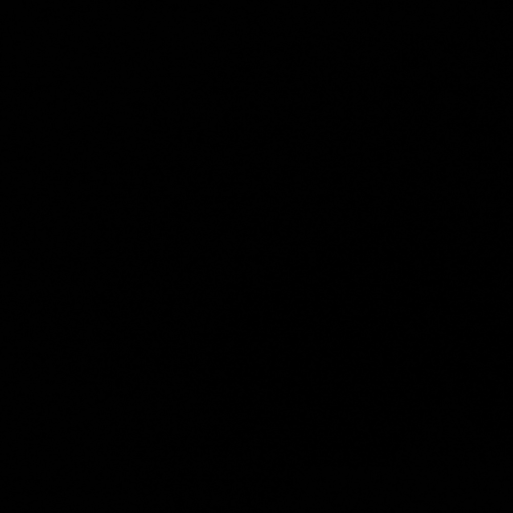 Worded graphic tee crop bundle